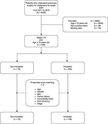 Non-Intubated Versus Intubated Video-Assisted Thoracic Surgery in Patients Aged 75 Years and Older: A Propensity Matching Study